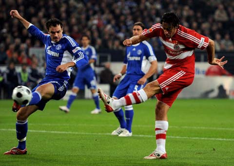 诺维茨基便 诺维茨基便